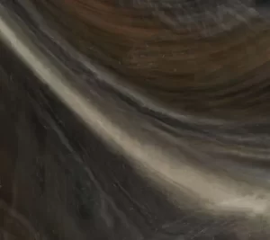 Midnight Canyon shell color