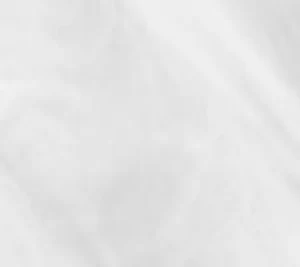 Sterling Silver shell color