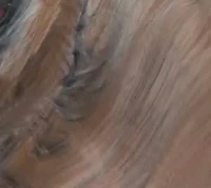 Tuscan Sun shell color